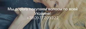 Продати волосся Луцьк. - <ro>Изображение</ro><ru>Изображение</ru> #1, <ru>Объявление</ru> #1678292