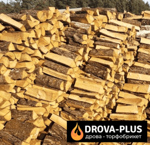 Купити дрова в Луцьку Drova-plus - <ro>Изображение</ro><ru>Изображение</ru> #1, <ru>Объявление</ru> #1695986