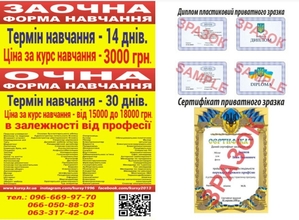 Диплом та сертифікат  - <ro>Изображение</ro><ru>Изображение</ru> #1, <ru>Объявление</ru> #1723434