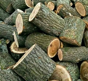 Дрова ціна купити дрова у Луцьку - <ro>Изображение</ro><ru>Изображение</ru> #1, <ru>Объявление</ru> #1739414
