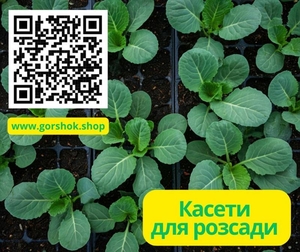 Касети для розсади капусти: оптом та в роздріб - <ro>Изображение</ro><ru>Изображение</ru> #1, <ru>Объявление</ru> #1746550