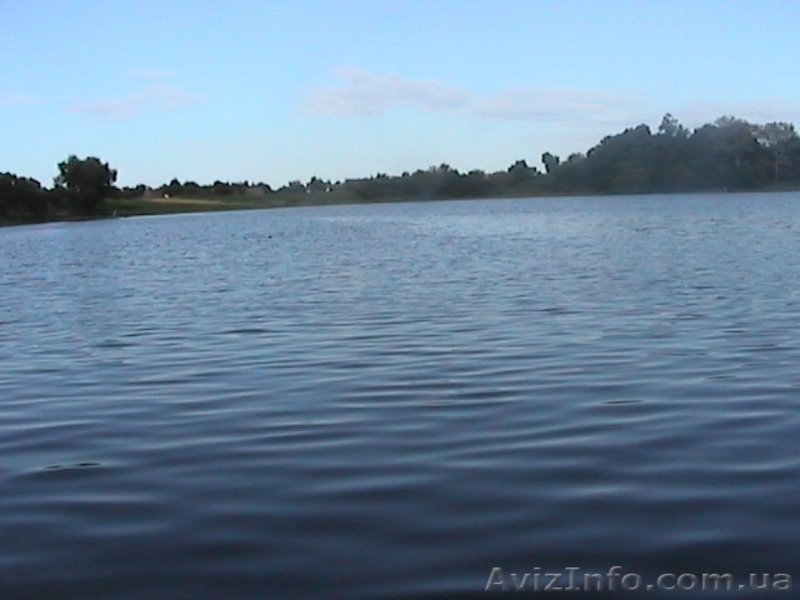 дом у озера в чистом уголке Украины - <ro>Изображение</ro><ru>Изображение</ru> #2, <ru>Объявление</ru> #54582
