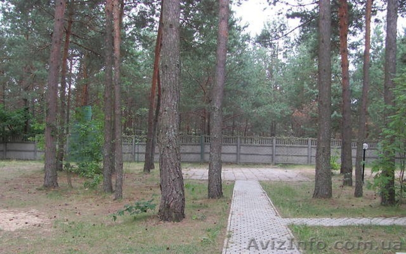 Продам дачу о.Свитязь Волынской области - <ro>Изображение</ro><ru>Изображение</ru> #3, <ru>Объявление</ru> #184585