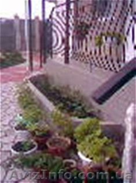 Крым!!! Недорогой отдых! - <ro>Изображение</ro><ru>Изображение</ru> #1, <ru>Объявление</ru> #560803