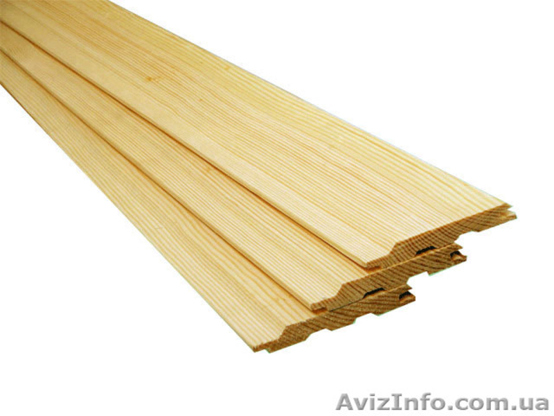 Лиственница сибирская Луцк Украина - <ro>Изображение</ro><ru>Изображение</ru> #1, <ru>Объявление</ru> #153138