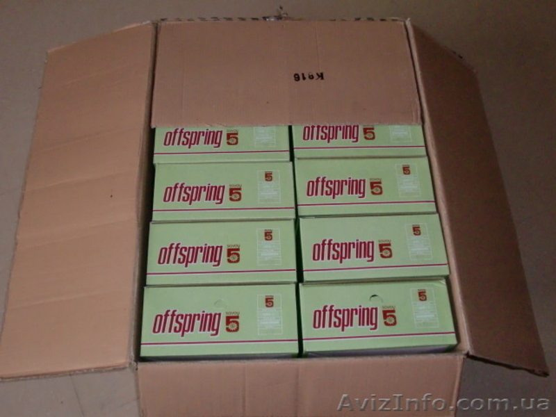 Продаем Американские Кожаные Кроссовки - <ro>Изображение</ro><ru>Изображение</ru> #5, <ru>Объявление</ru> #723129