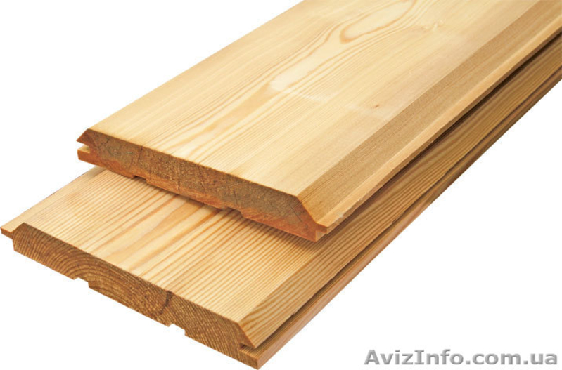 Лиственница сибирская Луцк Украина - <ro>Изображение</ro><ru>Изображение</ru> #5, <ru>Объявление</ru> #153138