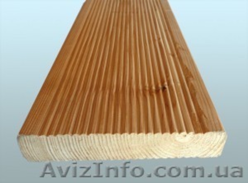 Лиственница сибирская Луцк Украина - <ro>Изображение</ro><ru>Изображение</ru> #4, <ru>Объявление</ru> #153138