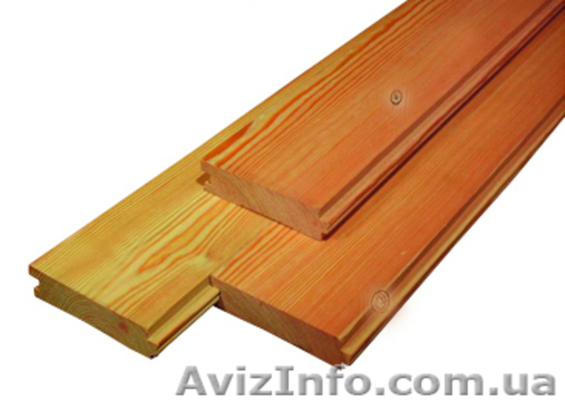 Лиственница сибирская Луцк Украина - <ro>Изображение</ro><ru>Изображение</ru> #2, <ru>Объявление</ru> #153138