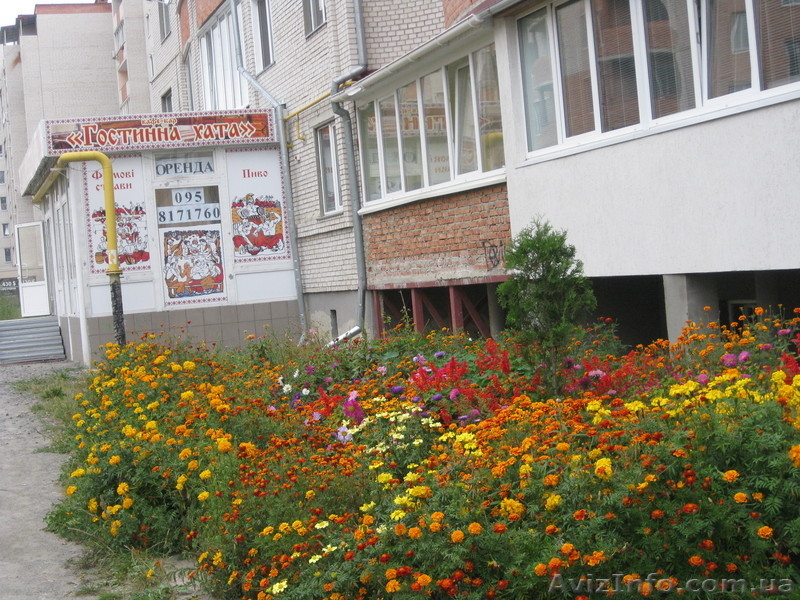 Срочно сдадим  в аренду помещение  для магазина-офиса или розничной торговли! - <ro>Изображение</ro><ru>Изображение</ru> #1, <ru>Объявление</ru> #787498