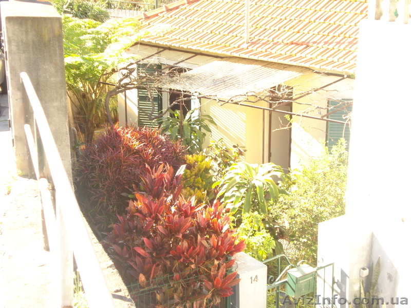 Сдается дом для отдыха на курорте в субтропической зоне о. Мадейра Португалия. Б - <ro>Изображение</ro><ru>Изображение</ru> #1, <ru>Объявление</ru> #837615