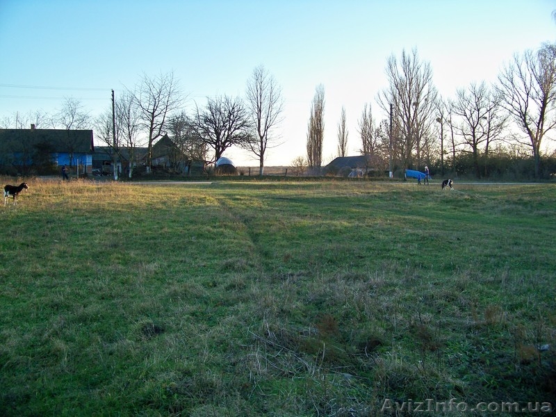 Продам ділянку 0,25 га за 4900$ (Власник) - <ro>Изображение</ro><ru>Изображение</ru> #3, <ru>Объявление</ru> #857177