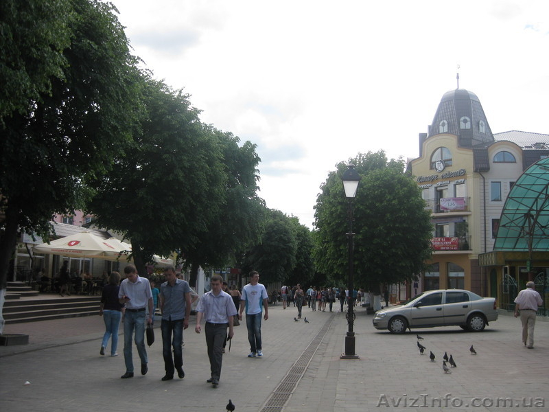 Продамо або здамо приміщення в оренду  - <ro>Изображение</ro><ru>Изображение</ru> #2, <ru>Объявление</ru> #921613