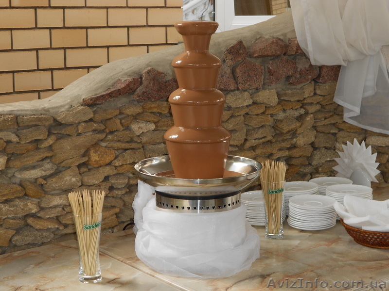 Шоколадный фонтан Луцк, фруктовые композиции, пальмы - <ro>Изображение</ro><ru>Изображение</ru> #3, <ru>Объявление</ru> #445865