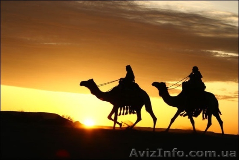 Уроки Арабского языка в Луцке - <ro>Изображение</ro><ru>Изображение</ru> #3, <ru>Объявление</ru> #1072648