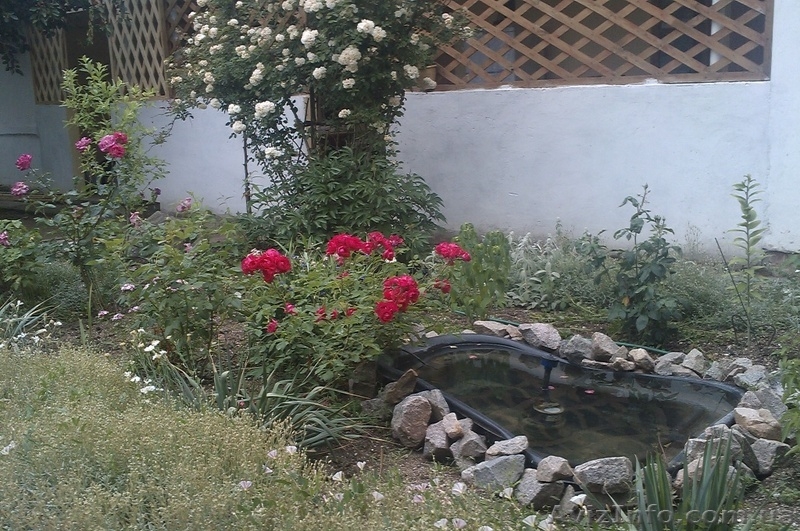 Летний отдых на Азове, п.Генгорка, рядом панс.Мелиоратор - <ro>Изображение</ro><ru>Изображение</ru> #1, <ru>Объявление</ru> #907258