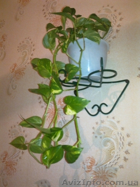 Принимаем заказы на изготовление ковано-сварочных изделий - <ro>Изображение</ro><ru>Изображение</ru> #2, <ru>Объявление</ru> #1144060