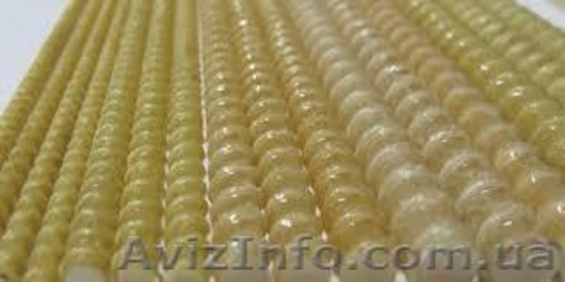 Арматура склопластикова (композитна), також гладка для теплиць... - <ro>Изображение</ro><ru>Изображение</ru> #1, <ru>Объявление</ru> #1242603