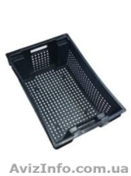 Ящики для овощей мяса фруктов рыбы ягод молока продуктов. - <ro>Изображение</ro><ru>Изображение</ru> #2, <ru>Объявление</ru> #1489057