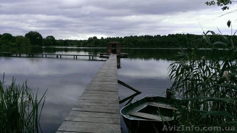 Продається рибний бізнес земельна ділянка площею 10.6902га з них 7.2934га-озеро - <ro>Изображение</ro><ru>Изображение</ru> #2, <ru>Объявление</ru> #1577357