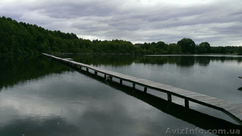 Продається рибний бізнес земельна ділянка площею 10.6902га з них 7.2934га-озеро - <ro>Изображение</ro><ru>Изображение</ru> #4, <ru>Объявление</ru> #1577357