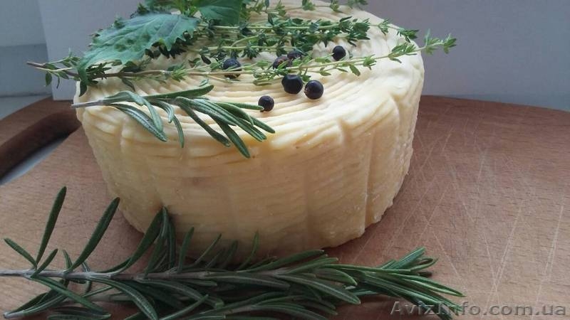 изготовление и продажа крафтовых сыров - <ro>Изображение</ro><ru>Изображение</ru> #1, <ru>Объявление</ru> #1592289