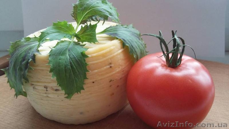 изготовление и продажа крафтовых сыров - <ro>Изображение</ro><ru>Изображение</ru> #2, <ru>Объявление</ru> #1592289