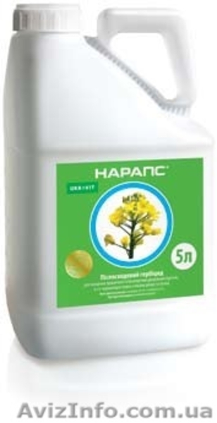 Гербіцид  для гірчиці, ріпаку - Нарапс     - <ro>Изображение</ro><ru>Изображение</ru> #1, <ru>Объявление</ru> #1599281