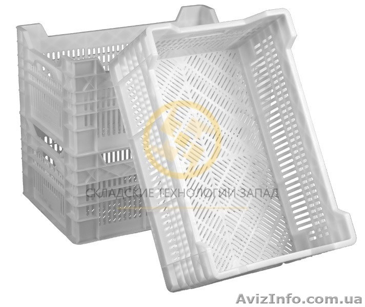 Куриные пластмассовые ящики - <ro>Изображение</ro><ru>Изображение</ru> #2, <ru>Объявление</ru> #1607732