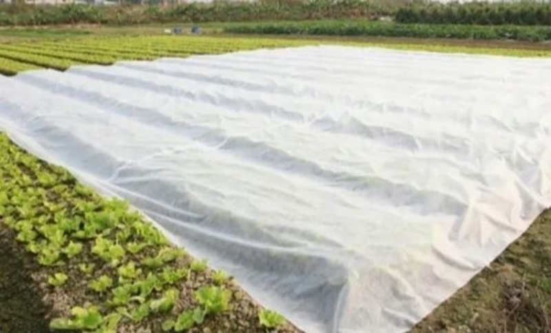 Теплична плівка агроволокно - <ro>Изображение</ro><ru>Изображение</ru> #4, <ru>Объявление</ru> #1680768