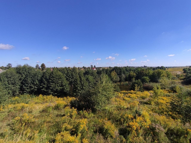 Продаж будинку з власним ставком! - <ro>Изображение</ro><ru>Изображение</ru> #2, <ru>Объявление</ru> #1693178