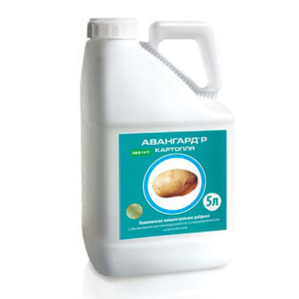 Добрива для картоплі Авангард® Картопля в Луцке, продам, куплю ...