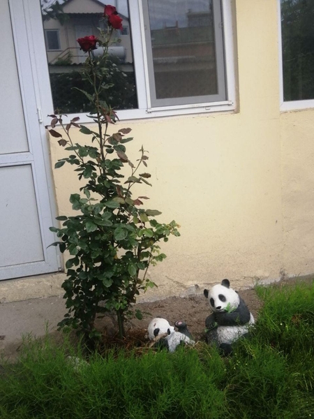 Летний отдых на Азове, п.Генгорка, рядом панс.Мелиоратор - <ro>Изображение</ro><ru>Изображение</ru> #2, <ru>Объявление</ru> #907258